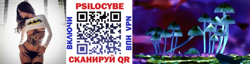 Купить  Чулым  Галлюциногенные грибы Cubensis 